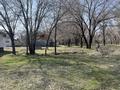 Участок · 6 соток, Байтерек (Новоалексеевка) за 5 млн ₸ — фото 6