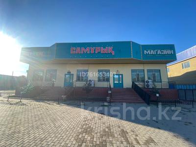 Свободное назначение · 1042 м² за 200 млн ₸ в Алматы
