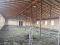 Участок · 15 га, Бесарык ауылы за 80 млн ₸ в  — фото 9