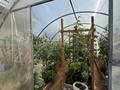 Жеке үй · 4 бөлме · 106.6 м² · 10 жүзд., Целинная 51, бағасы: 25 млн ₸ в Садчикове — фото 15