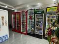 Отдельный дом · 4 комнаты · 80 м² · 6 сот., мкр Саялы 24 — Аккайын 24 за 150 млн ₸ в Алматы, Алатауский р-н — фото 4