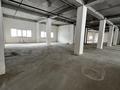 Еркін · 820 м², бағасы: 6.5 млн ₸ в Астане — фото 10