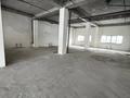 Еркін · 820 м², бағасы: 6.5 млн ₸ в Астане — фото 11