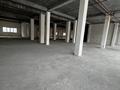 Еркін · 820 м², бағасы: 6.5 млн ₸ в Астане — фото 13