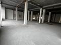 Еркін · 820 м², бағасы: 6.5 млн ₸ в Астане — фото 15