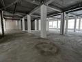 Еркін · 820 м², бағасы: 6.5 млн ₸ в Астане — фото 9