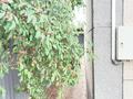 Отдельный дом · 5 комнат · 230 м² · 4 сот., мкр Акбулак, Самади 55 — Саина рыскулова за 105 млн ₸ в Алматы, Алатауский р-н — фото 9
