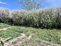 Участок · 6 соток, Ахмирово за 650 000 ₸ в Усть-Каменогорске — фото 20