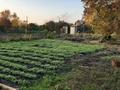 Участок · 6 соток, Ахмирово за 650 000 ₸ в Усть-Каменогорске — фото 2