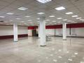 Еркін · 1500 м², бағасы: 700 млн ₸ в Усть-Каменогорске — фото 7