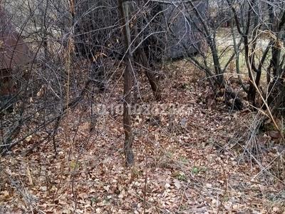 Дача · 1 комната · 25 м² · 8 сот., Басово за 500 000 ₸ в Усть-Каменогорске