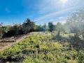 Жеке үй · 1 бөлме · 40 м² · 7 жүзд., СО Мичуринец, бағасы: 10 млн ₸ в Костанае — фото 14