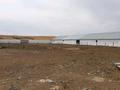 Сельское хозяйство • 1000 м² за 250 млн 〒 в Талдыкоргане — фото 9