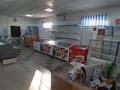 Жеке үй · 2 бөлме · 61.8 м² · 12 жүзд., улица Баян Батыра 7/1, бағасы: 25.7 млн ₸ в Кенжеколе — фото 13