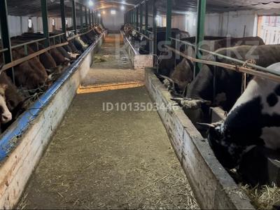 Ауыл шаруашылығы · 2000 м², бағасы: 150 млн ₸ в Туркестане