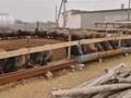 Ауыл шаруашылығы · 2000 м², бағасы: 150 млн ₸ в Туркестане — фото 13