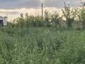 Ауыл шаруашылығы · 2000 м², бағасы: 150 млн ₸ в Туркестане — фото 31