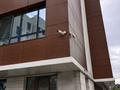 3-комнатная квартира · 124 м² · 2/7 этаж, Шарля де Голля 11 — проспект Тауелсыздык за 102 млн ₸ в Астане, Алматы р-н — фото 18