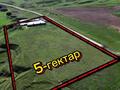 Сельское хозяйство · 800 м² за 150 млн ₸ в Касымбек датка — фото 2