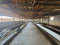 Сельское хозяйство · 800 м² за 150 млн ₸ в Касымбек датка — фото 11