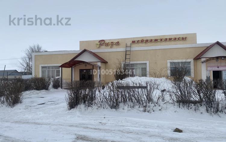 Ресторан Риза · 450 м² за 105 млн ₸ в Аксае — фото 2