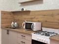 1-комнатная квартира · 43 м² · 1/9 этаж, Микрорайон Береке 57 за 220 000 ₸ в Костанае — фото 3