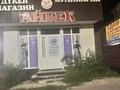 Отдельный дом · 3 комнаты · 160 м² · 82 сот., Алимкулова 77 за 400 000 ₸ в Каскелене — фото 2
