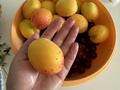 Отдельный дом · 10 комнат · 281 м² · 20 сот., С.Тумышов 223 за 45 млн ₸ в Саина Шапагатовой — фото 28