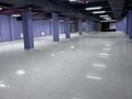 Еркін · 1300 м², бағасы: 250 млн ₸ в Астане — фото 2