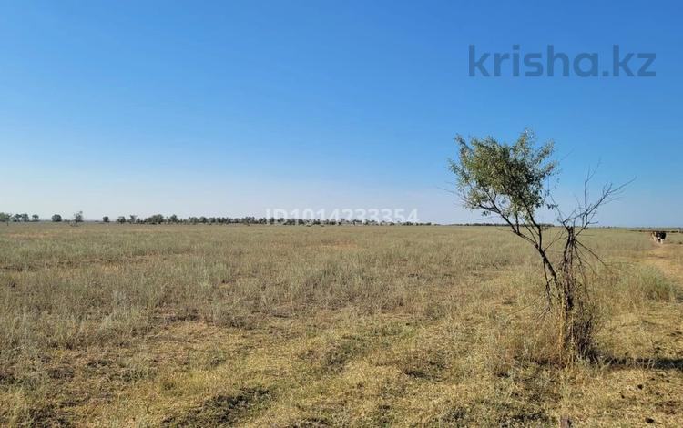Ауыл шаруашылығы · 1.6 м², бағасы: 10 млн ₸ в Жалкамысе — фото 2