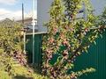 Образование · 1423.8 м² за 650 млн ₸ в Каскелене — фото 51