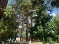 Образование · 1423.8 м² за 650 млн ₸ в Каскелене — фото 59
