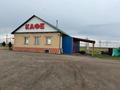 Действующее придорожное кафэ · 240 м², бағасы: 30 млн ₸ в Щучинске — фото 3