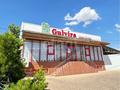 Отдельный дом · 4 комнаты · 640 м² · 10 сот., мкр Самал-2, Аргынбекова 156 — Утегенова за 295 млн ₸ в Шымкенте, Абайский р-н — фото 16