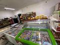 Магазины и бутики · 100 м² за 300 000 ₸ в Алматы, Алатауский р-н — фото 4