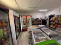 Магазины и бутики · 100 м² за 300 000 ₸ в Алматы, Алатауский р-н — фото 5
