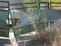 Участок · 25 соток, мкр Каргалы, Каргалы ул Тажиева 413 за 100 млн ₸ в Алматы, Наурызбайский р-н