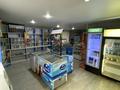 Магазины и бутики · 46 м² за 16.5 млн ₸ в Аркалыке — фото 4