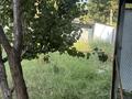Жеке үй · 4 бөлме · 100 м² · 7 жүзд., Сырым батыра 2/1 — Спиртзавод, бағасы: 270 000 ₸ в Талгаре — фото 13