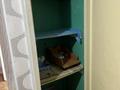 3-бөлмелі пәтер · 59.4 м² · 5/5 қабат, Чайковский 3 — Универсам центр города, бағасы: 10.5 млн ₸ в  — фото 10