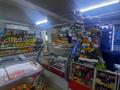 Магазины и бутики • 113 м² за 44 млн 〒 в Усть-Каменогорске — фото 19