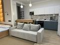 1-бөлмелі пәтер · 55 м² · 4/12 қабат, Сейфуллина, бағасы: 23 000 ₸ в Алматы, Алмалинский р-н