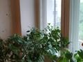 4-комнатная квартира · 80 м² · 6/9 этаж, Кабанбай бытыра 91 за 39.5 млн ₸ в Усть-Каменогорске — фото 6