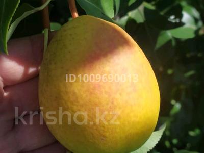 Саяжай · 1 бөлме · 10 м² · 6 сот., Малиновая 4, бағасы: 2 млн 〒 в Павлодаре