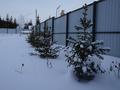 Участок · 10 соток, БСХТ 68 за 21 млн ₸ в Щучинске — фото 13