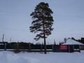 Участок · 10 соток, БСХТ 68 за 21 млн ₸ в Щучинске — фото 18