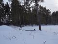 Участок · 10 соток, БСХТ 68 за 21 млн ₸ в Щучинске — фото 24