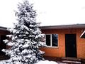 Отдельный дом · 7 комнат · 236.4 м² · 8 сот., мкр Калкаман-2, Лапина 81 — Байзак батыра за 130 млн ₸ в Алматы, Наурызбайский р-н — фото 7