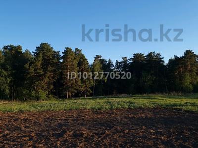 Отдельный дом · 2 комнаты · 55 м² · 62 сот., Лесная 22 — Село Трамбовка, в 6 км от села Сосновка за 7.9 млн ₸