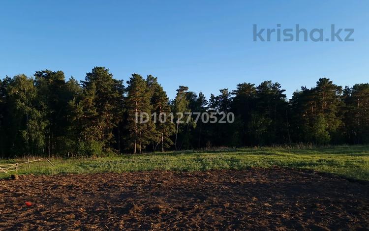Отдельный дом · 2 комнаты · 55 м² · 62 сот., Лесная 22 — Село Трамбовка, в 6 км от села Сосновка за 7.9 млн ₸ — фото 2